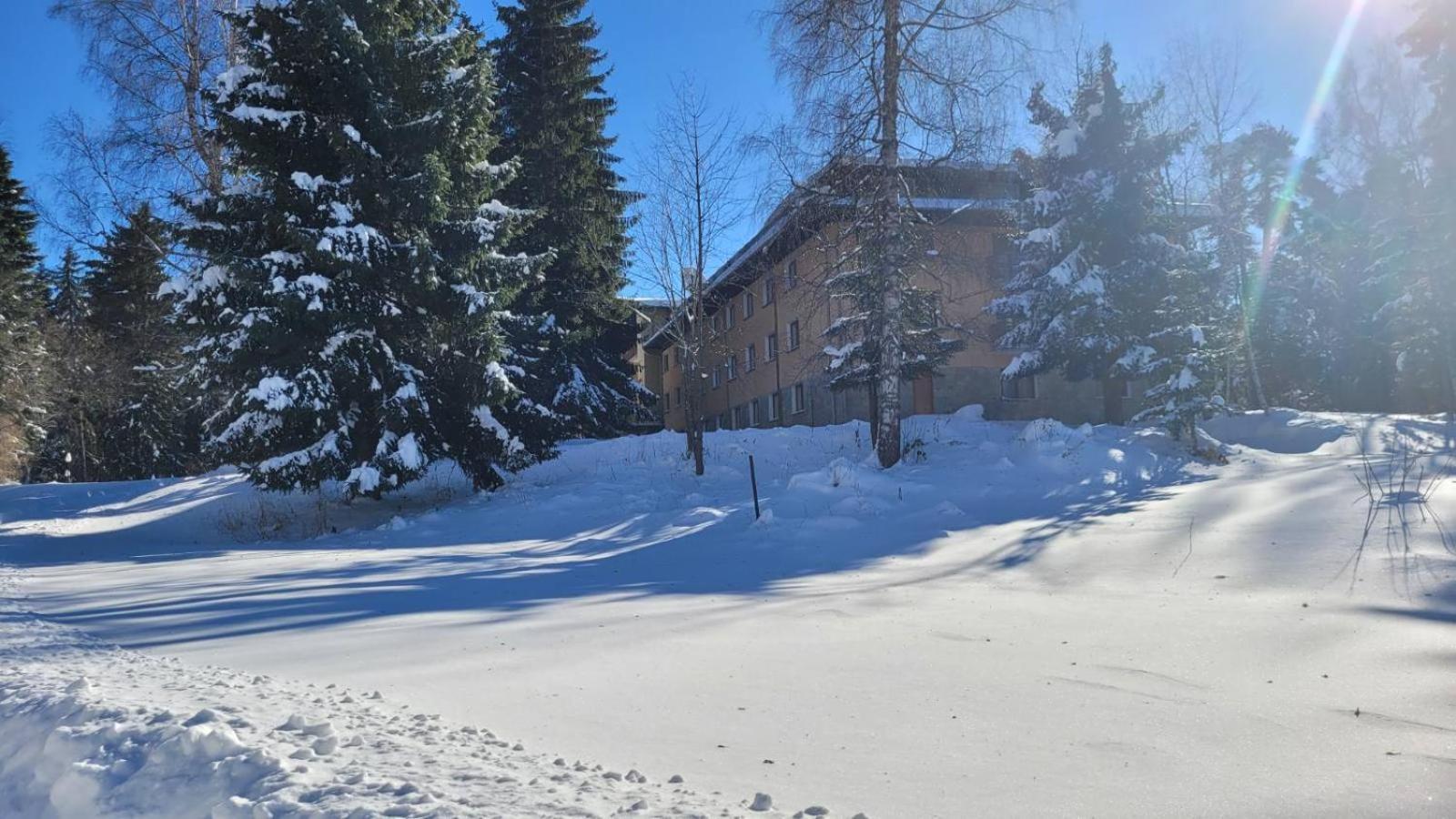 Hotel Bor Borovets Bagian luar foto