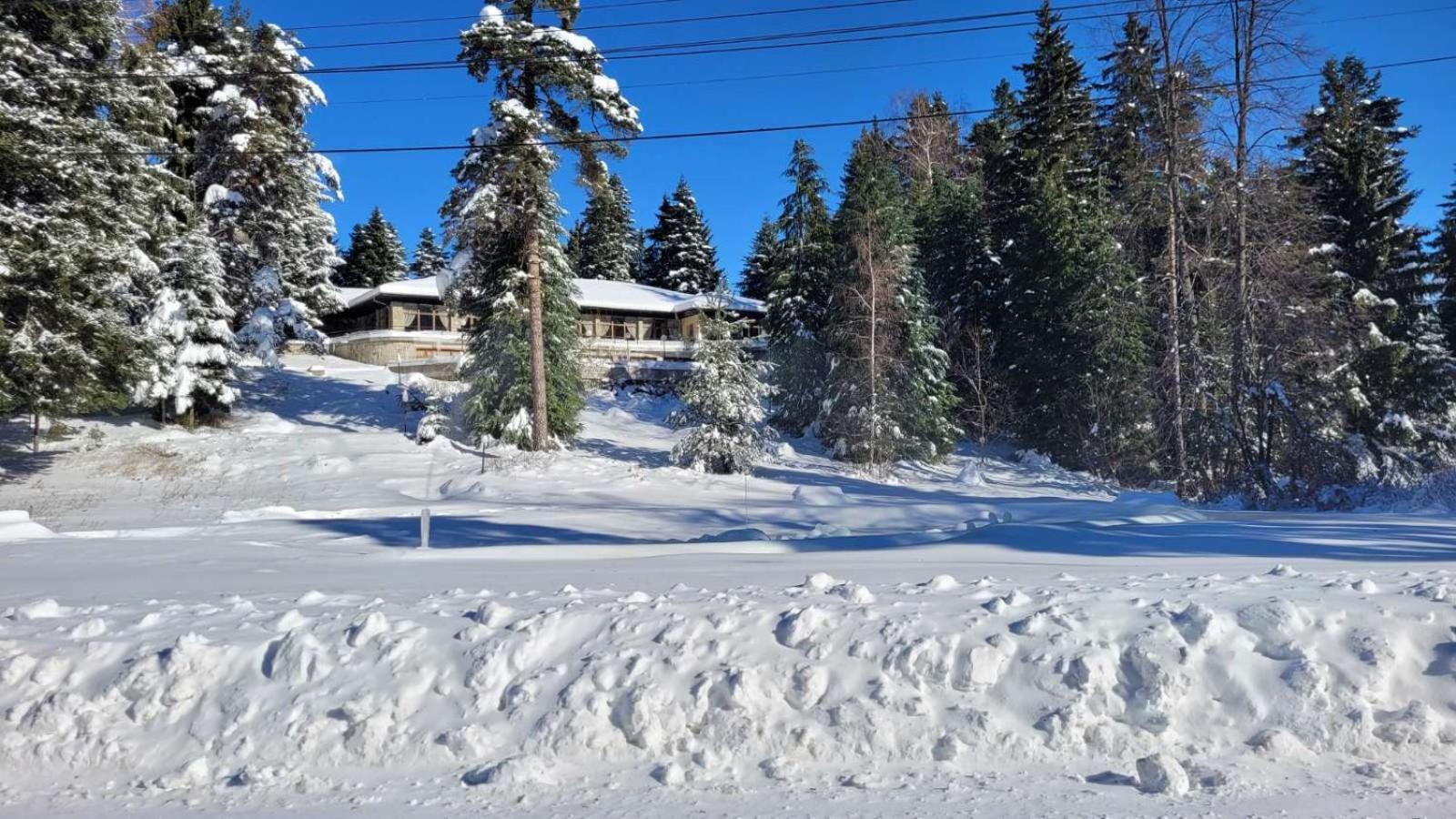 Hotel Bor Borovets Bagian luar foto