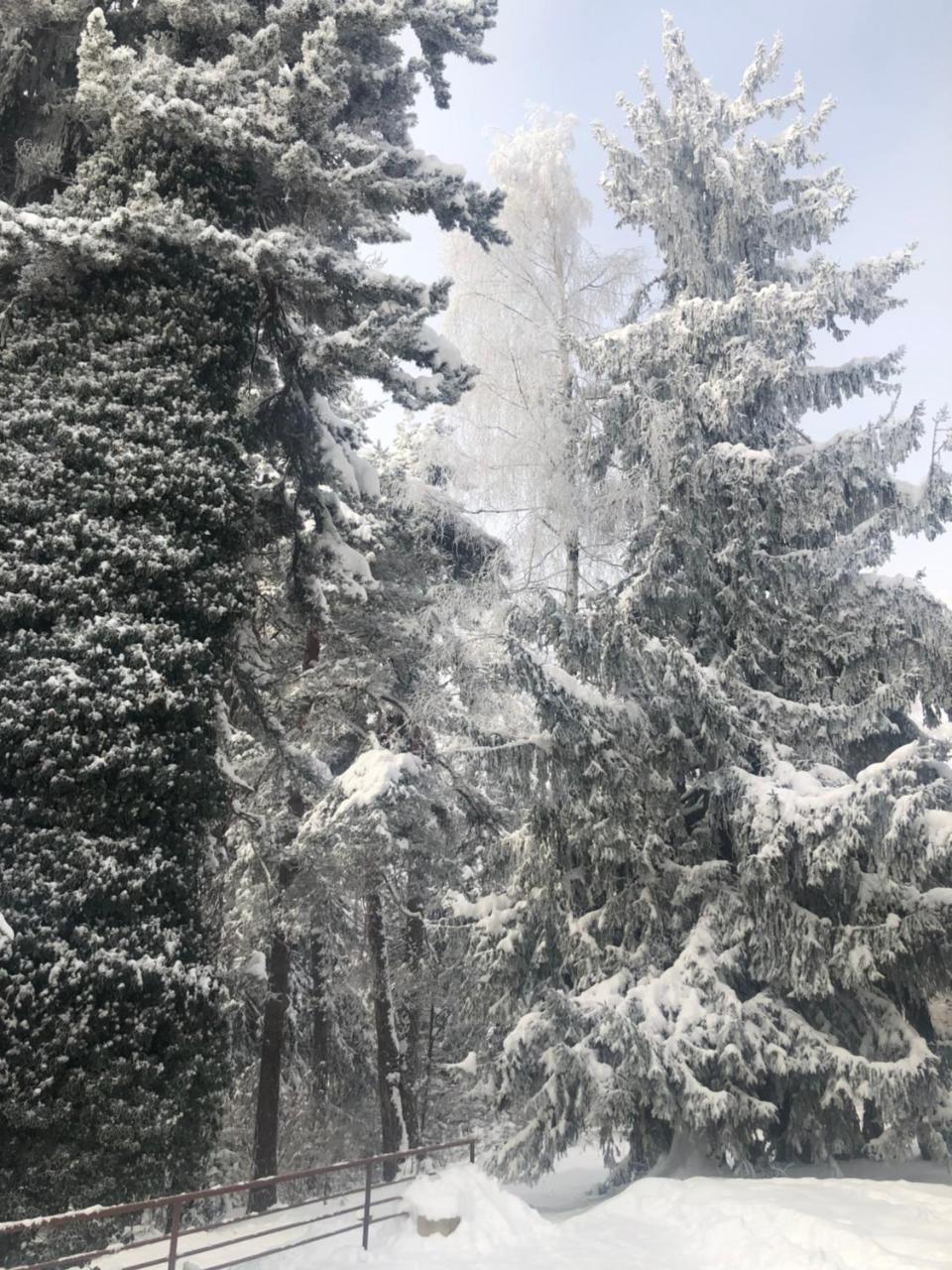 Hotel Bor Borovets Bagian luar foto